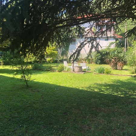 Vila Labod, Unique Villa At The Lake Most na Soči Dış mekan fotoğraf